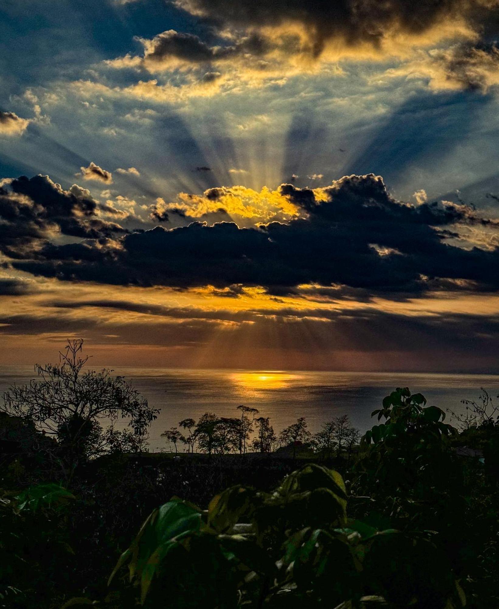 Vista Serena Nationalpark Nationalpark Manuel Antonio Exterior foto